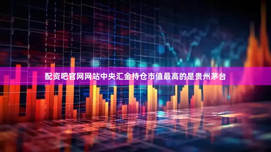 配资吧官网网站中央汇金持仓市值最高的是贵州茅台