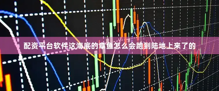 配资平台软件这海底的章鱼怎么会跑到陆地上来了的