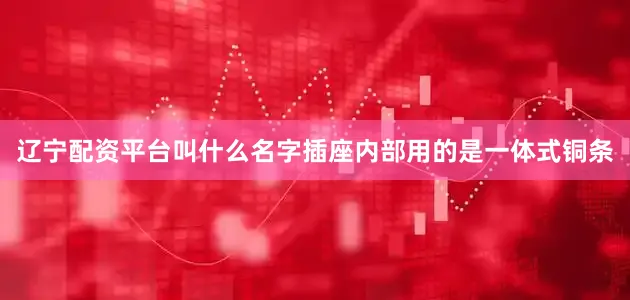 辽宁配资平台叫什么名字插座内部用的是一体式铜条