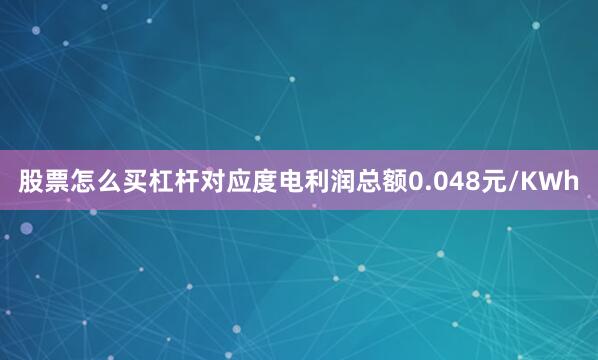 股票怎么买杠杆对应度电利润总额0.048元/KWh